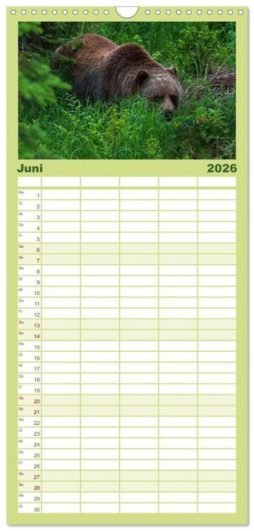 Produktbild: Familienplaner 2026 - Grizzlys und Geisterb&auml;ren - Glendale Cove, Kanada mit 5 Spalten (Wandkalender, 21 x 45 cm) CALVENDO