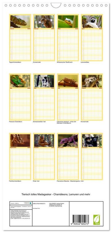 Produktbild: Familienplaner 2026 - Tierisch tolles Madagaskar - Cham&auml;leons, Lemuren und mehr mit 5 Spalten (Wandkalender, 21 x 45 cm) CALVENDO