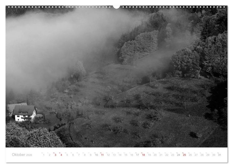 Produktbild: Mystischer Schwarzwald (Wandkalender 2026 DIN A2 quer), CALVENDO Monatskalender