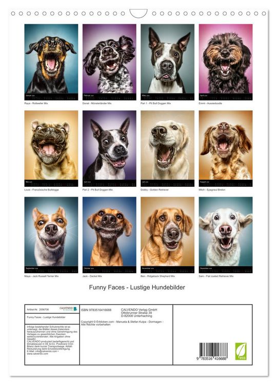 Produktbild: Funny Faces - Lustige Hundebilder (Wandkalender 2026 DIN A3 hoch), CALVENDO Monatskalender