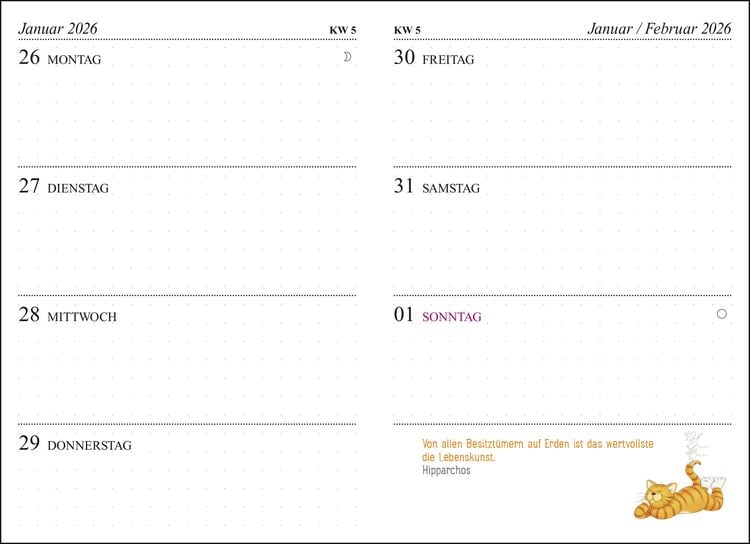 Produktbild: Taschenkalender 2026: Om-Katze: Bloß kein Stress!