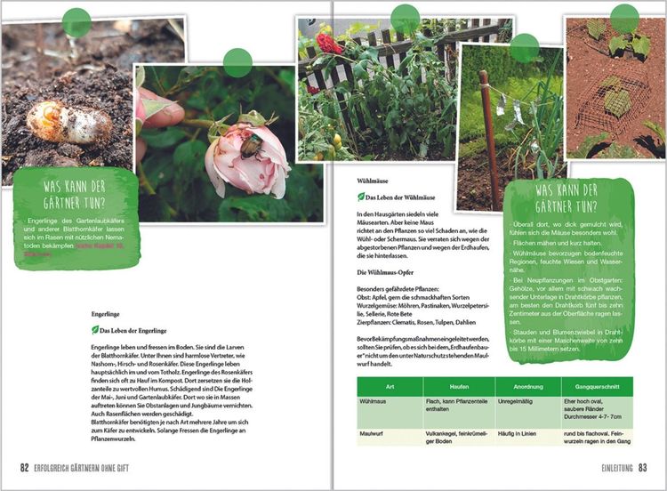 Produktbild: MDR Garten - Erfolgreich G&auml;rtnern ohne Gift