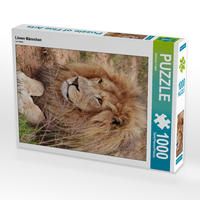 Produktbild: CALVENDO Puzzle L&ouml;wen M&auml;nnchen | 1000 Teile Lege-Gr&ouml;&szlig;e 64x48cm Foto-Puzzle f&uuml;r gl&uuml;ckliche Stunden