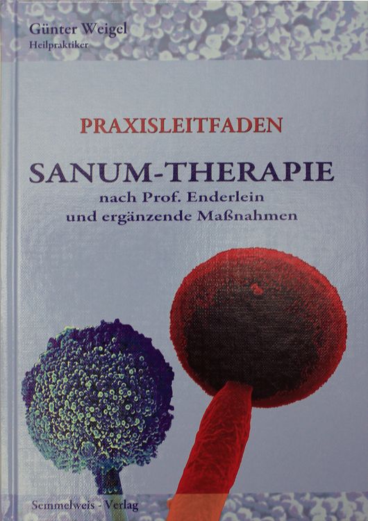 Produktbild: Sanum-Therapie nach Professor Enderlein und erg&auml;nzende Massnahmen - Praxisleitfaden