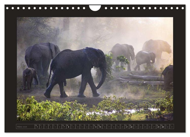 Produktbild: Kenia (Wandkalender 2026 DIN A4 quer), CALVENDO Monatskalender