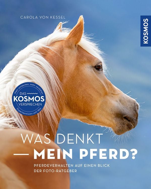 Produktbild: Was denkt mein Pferd?