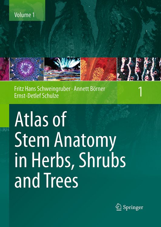 Produktbild: Atlas of Stem Anatomy in Herbs, Shrubs and Trees