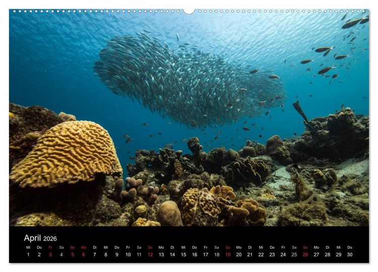 Produktbild: Tanz der Fische (hochwertiger Premium Wandkalender 2026 DIN A2 quer), Kunstdruck in Hochglanz