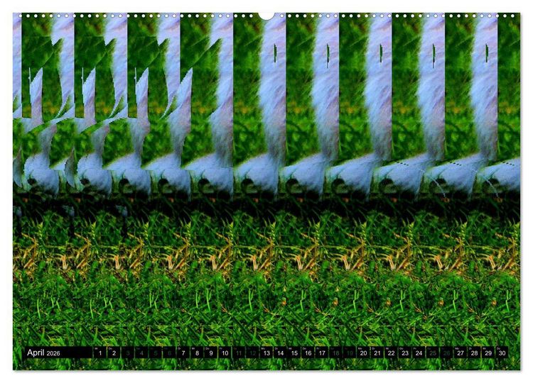 Produktbild: Magische Bilder - 3D Stereogramme (Wandkalender 2026 DIN A2 quer), CALVENDO Monatskalender