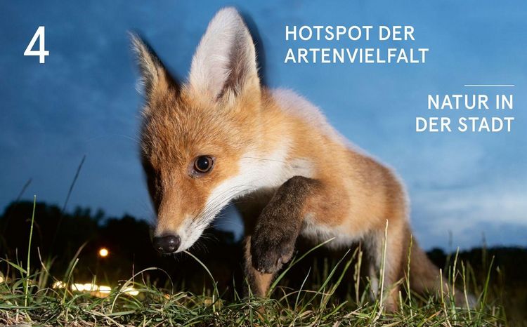 Produktbild: Deutschlands letzte Paradiese
