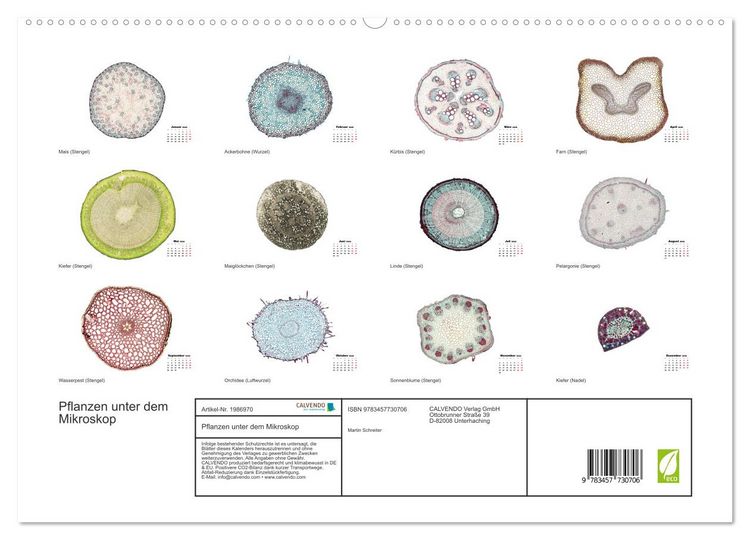 Produktbild: Pflanzen unter dem Mikroskop (hochwertiger Premium Wandkalender 2026 DIN A2 quer), Kunstdruck in Hochglanz