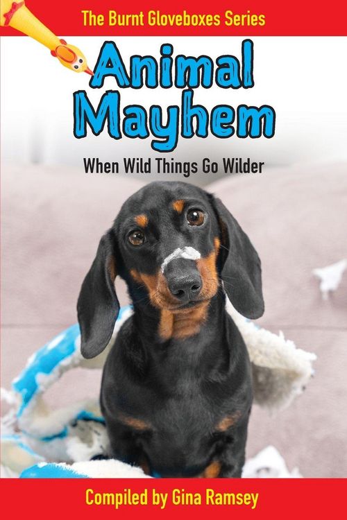 Produktbild: Animal Mayhem