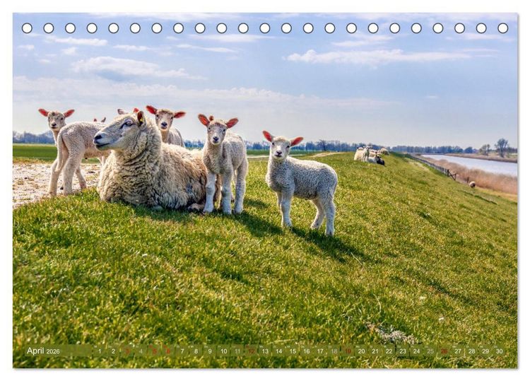 Produktbild: GREETSIEL-LIEBE (Tischkalender 2026 DIN A5 quer), CALVENDO Monatskalender