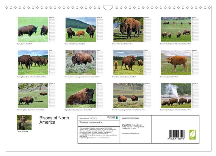 Produktbild: Bisons of North America (Wall Calendar 2026 DIN A3 landscape), CALVENDO 12 Month Wall Calendar
