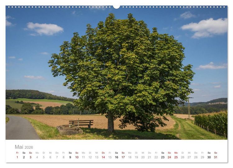 Produktbild: Wundersch&ouml;ne B&auml;ume im Sauerland (Wandkalender 2026 DIN A2 quer), CALVENDO Monatskalender