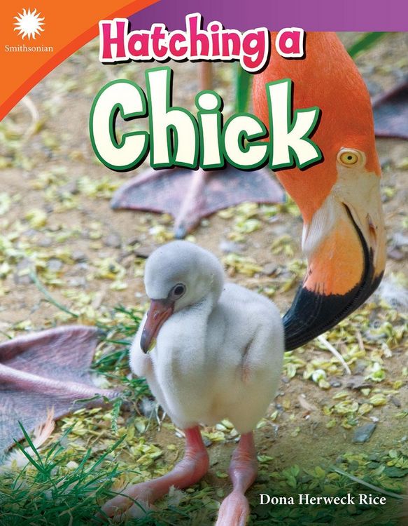 Produktbild: Hatching a Chick
