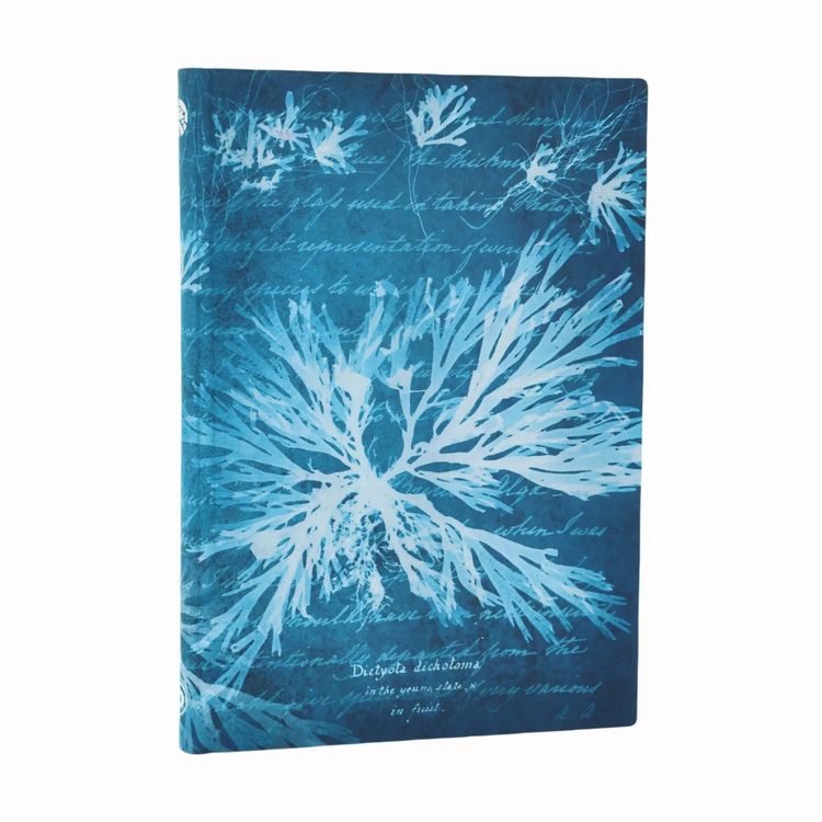 Produktbild: Notizbuch, Meeresblumen, Midi, Liniert