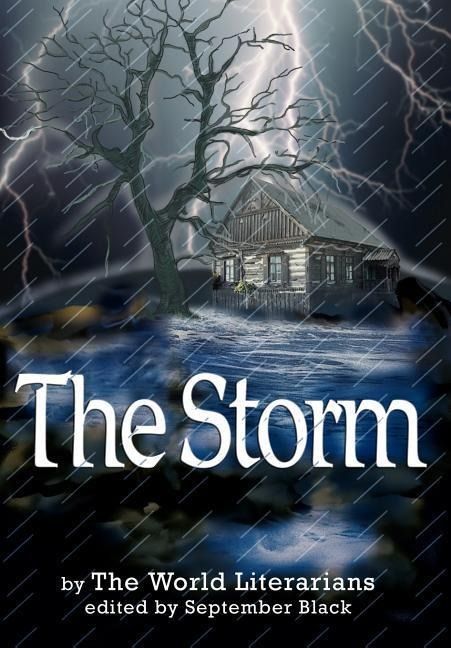 Produktbild: The Storm