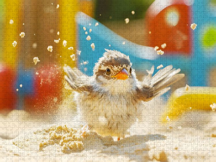 Produktbild: CALVENDO Puzzle Ein Motiv aus dem Kalender "Plitsch, Platsch, tierisch nass" | 2000 Teile Lege-Gr&ouml;&szlig;e 90x67cm Foto-Puzzle f&uuml;r gl&uuml;ckliche Stunden