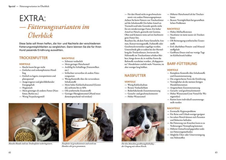 Produktbild: Border Collie