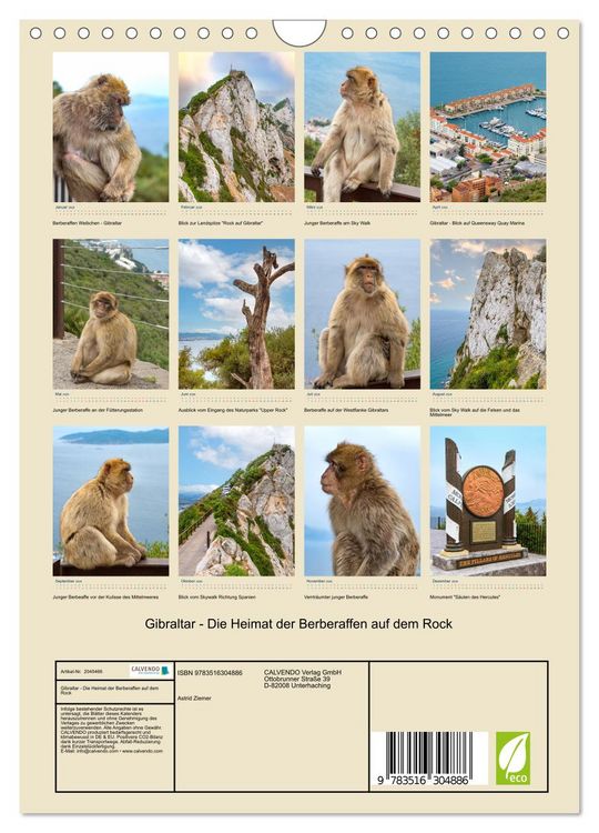 Produktbild: Gibraltar - Die Heimat der Berberaffen auf dem Rock (Wandkalender 2026 DIN A4 hoch), CALVENDO Monatskalender