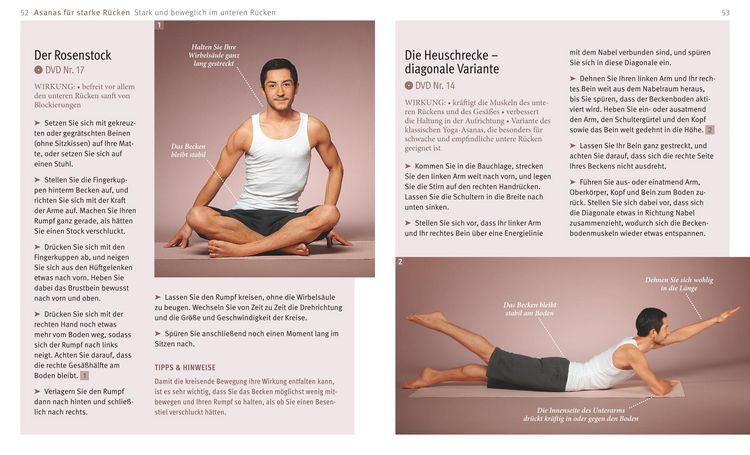 Produktbild: Yoga f&uuml;r den R&uuml;cken (mit DVD)