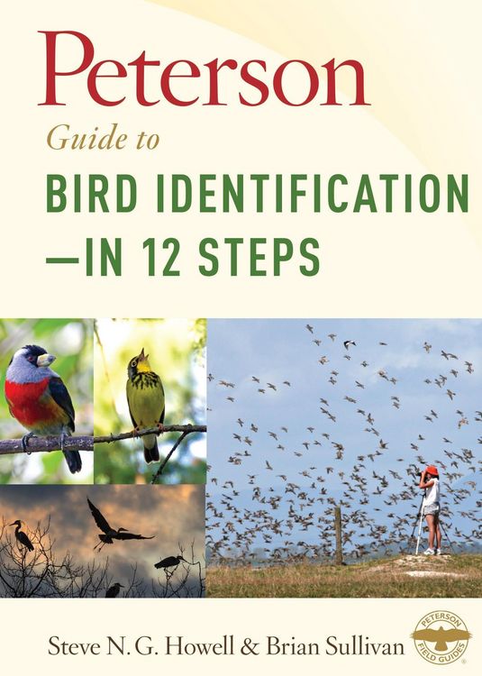 Produktbild: Peterson Guide to Bird Identification-in 12 Steps