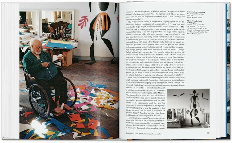Produktbild: Matisse