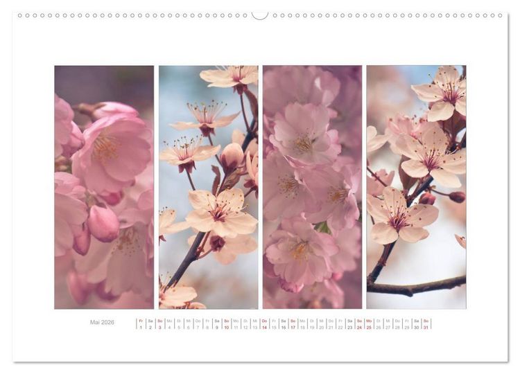 Produktbild: Gartenfreude (Wandkalender 2026 DIN A2 quer), CALVENDO Monatskalender
