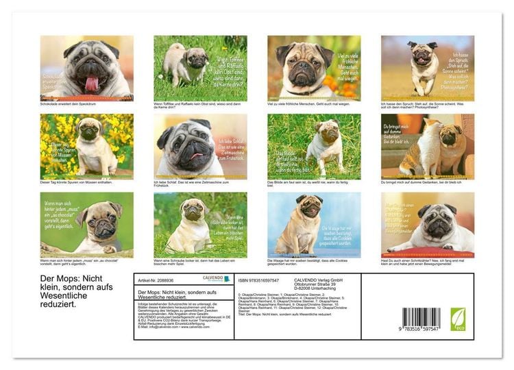 Produktbild: Der Mops: Nicht klein, sondern aufs Wesentliche reduziert. (Wandkalender 2026 DIN A3 quer), CALVENDO Monatskalender