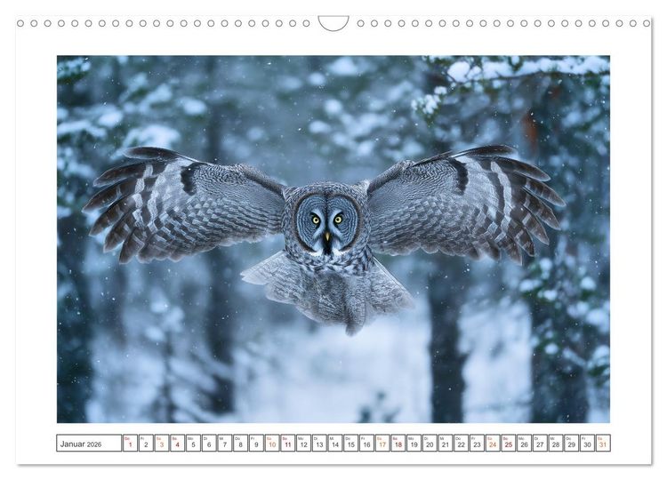 Produktbild: Magie der Wildnis (Wandkalender 2026 DIN A3 quer), CALVENDO Monatskalender