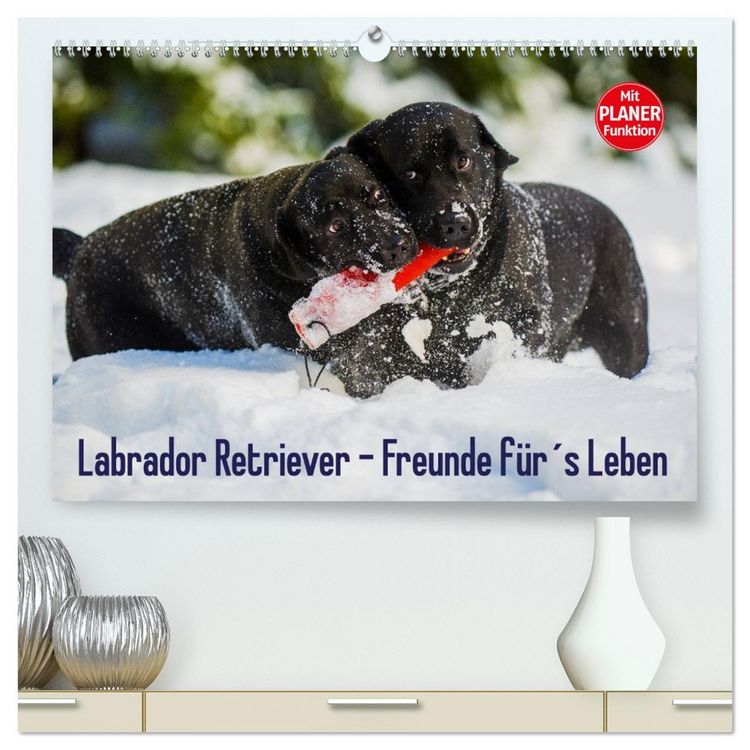 Produktbild: Labrador Retriever - Freunde f&uuml;r&acute;s Leben (hochwertiger Premium Wandkalender 2026 DIN A2 quer), Kunstdruck in Hochglanz