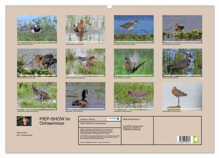 Produktbild: PIEP-SHOW im Ochsenmoor (Wandkalender 2026 DIN A2 quer), CALVENDO Monatskalender