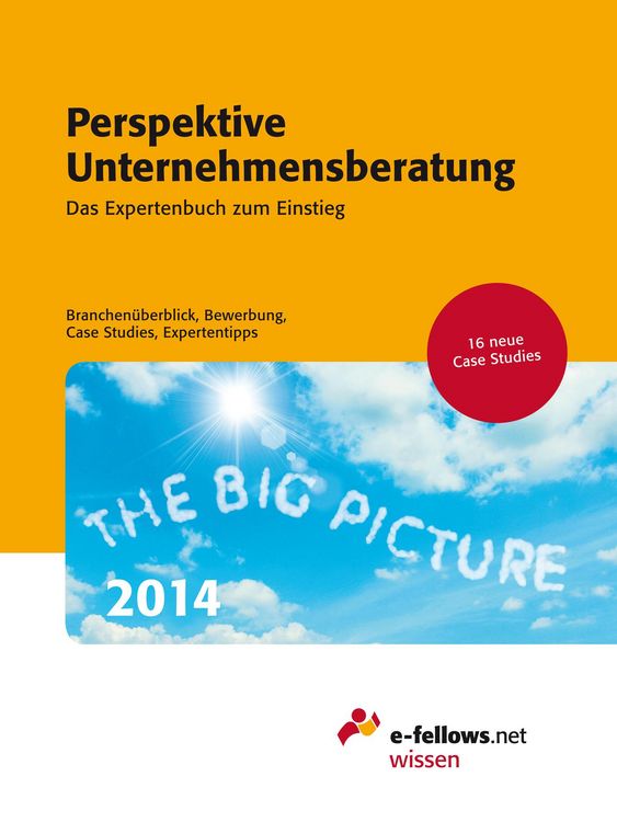 Produktbild: Perspektive Unternehmensberatung 2014