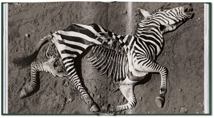 Produktbild: Peter Beard