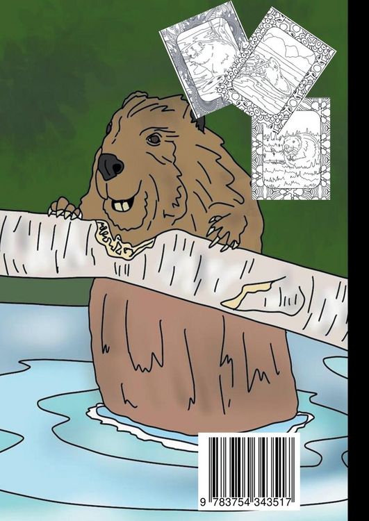 Produktbild: Biber Malbuch