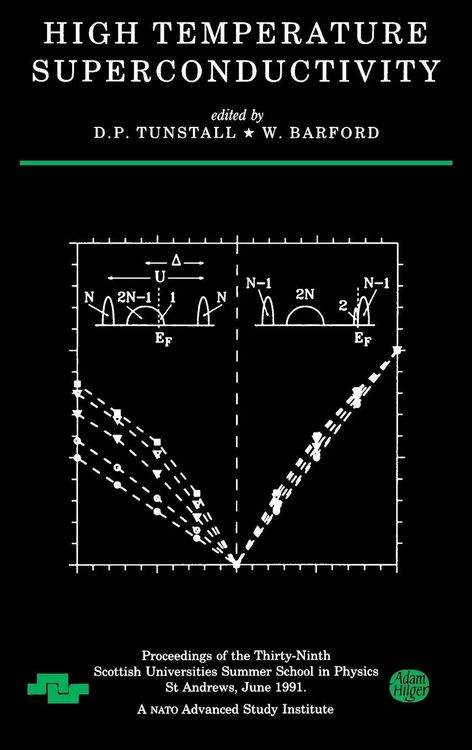 Produktbild: High Temperature Superconductivity