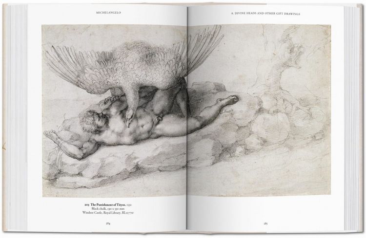 Produktbild: Michelangelo