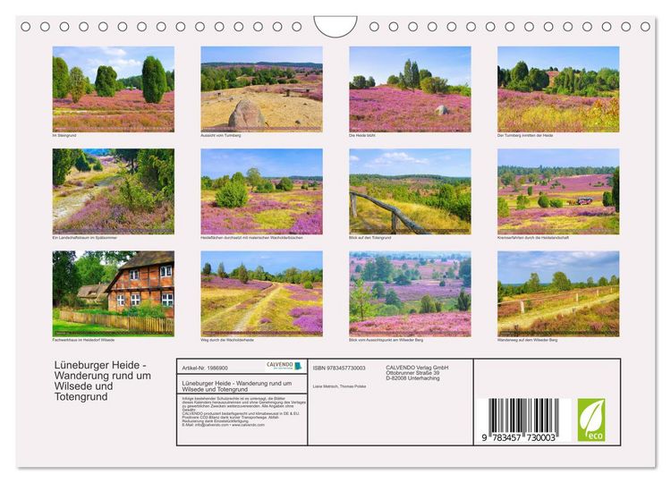 Produktbild: L&uuml;neburger Heide - Wanderung rund um Wilsede und Totengrund (Wandkalender 2026 DIN A4 quer), CALVENDO Monatskalender