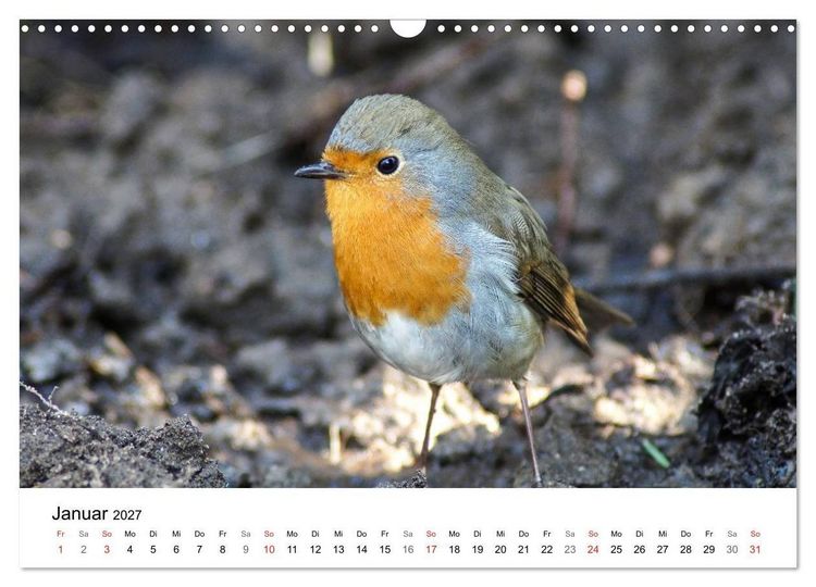 Produktbild: Paradies Naturgarten (Wandkalender 2027 DIN A3 quer), CALVENDO Monatskalender