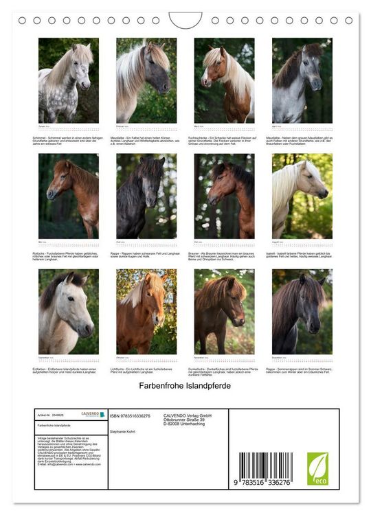 Produktbild: Farbenfrohe Islandpferde (Wandkalender 2026 DIN A4 hoch), CALVENDO Monatskalender