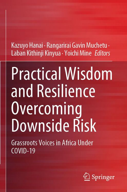 Produktbild: Practical Wisdom and Resilience Overcoming Downside Risk