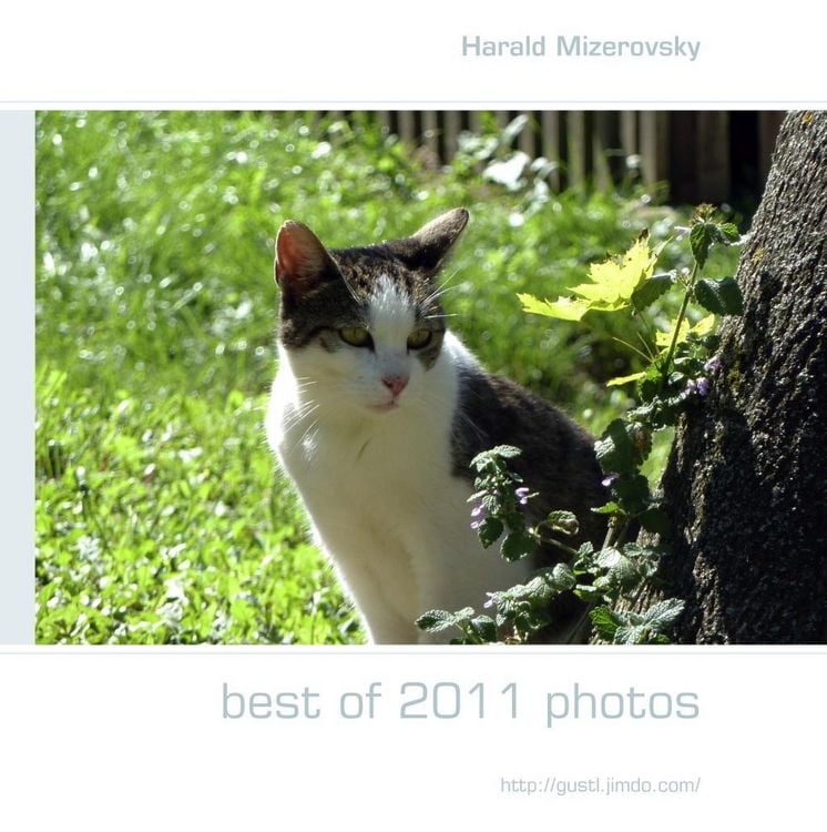 Produktbild: Best of 2011 photos