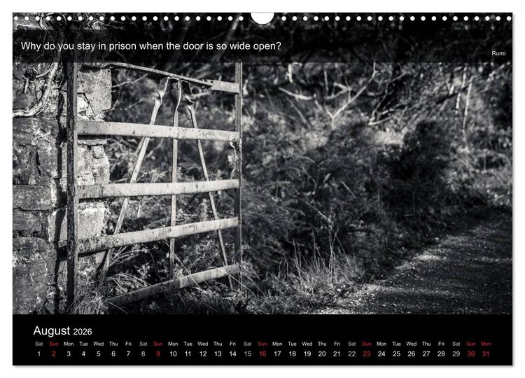 Produktbild: Through the Gate with Rumi (Wall Calendar 2026 DIN A3 landscape), CALVENDO 12 Month Wall Calendar