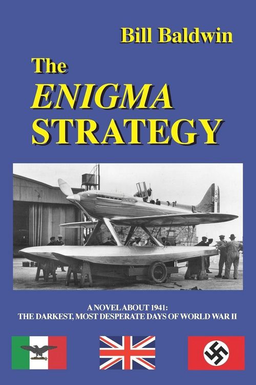 Produktbild: The Enigma Strategy