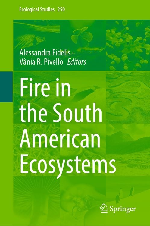 Produktbild: Fire in the South American Ecosystems