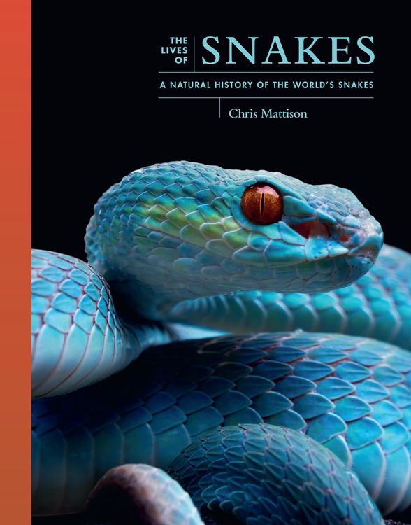 Produktbild: The Lives of Snakes