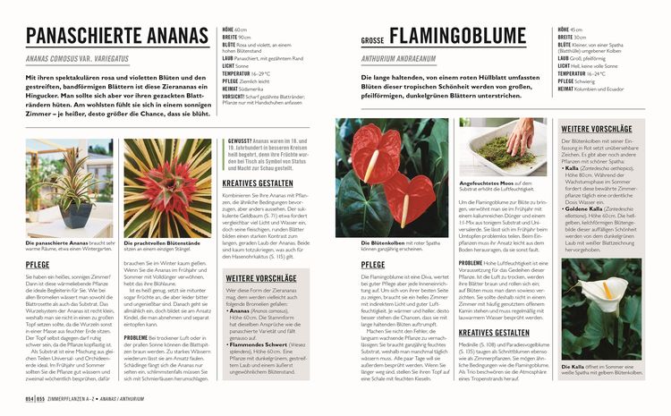 Produktbild: Gr&uuml;nes Gartenwissen. Die sch&ouml;nsten Zimmerpflanzen