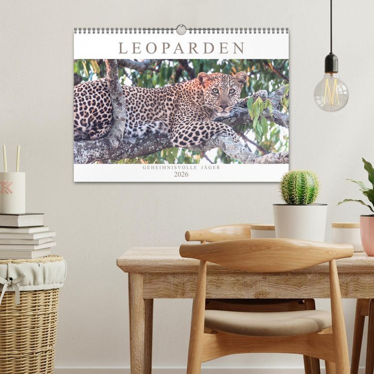 Produktbild: Leoparden - Geheimnisvolle J&auml;ger (Wandkalender 2026 DIN A3 quer), CALVENDO Monatskalender