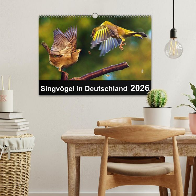 Produktbild: Singv&ouml;gel in Deutschland (Wandkalender 2026 DIN A3 quer), CALVENDO Monatskalender